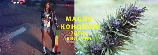 СК Алексин