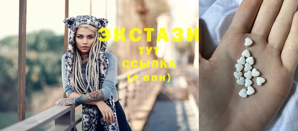 СК Алексин
