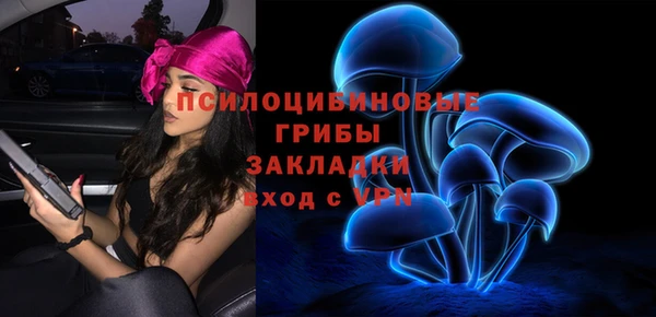 СК Алексин