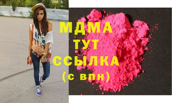СК Алексин