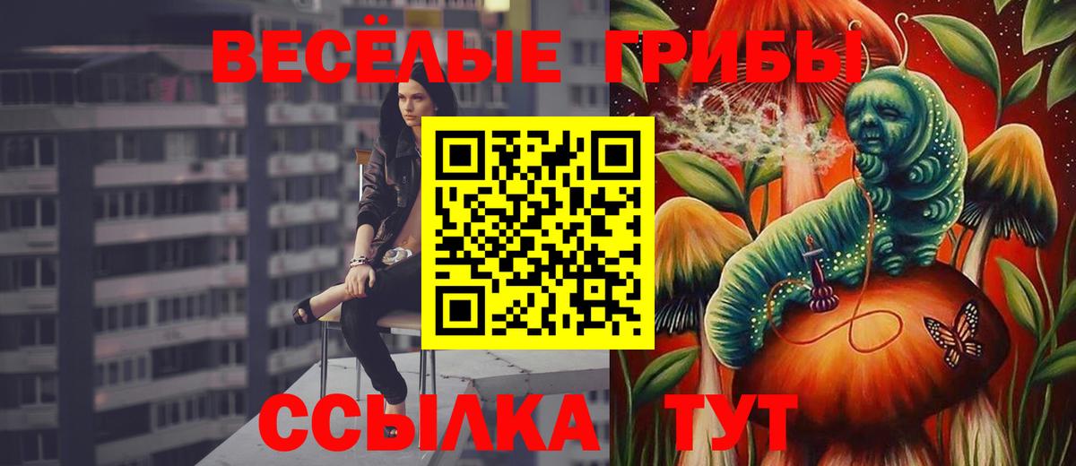 Кокаин  ГАШИШ  Сосновый Бор  APVP СОЛЬ кристаллы  ГЕРОИН  Меф кристаллы  Магазин наркотиков  Вход с VPN 