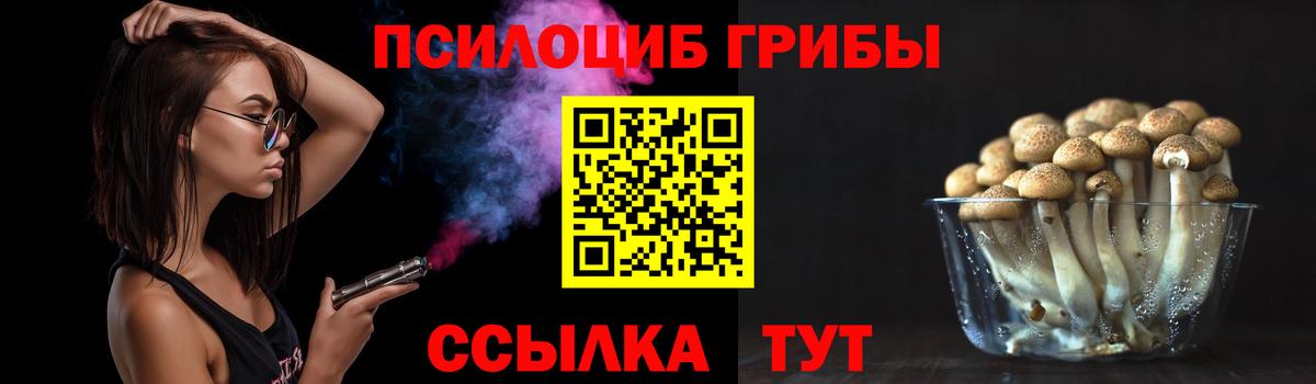 Сосновый Бор  закладка  Вход с VPN  Псилоцибиновые грибы Psilocybine cubensis 
